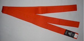 Belt Orange 2.5m x 40mm