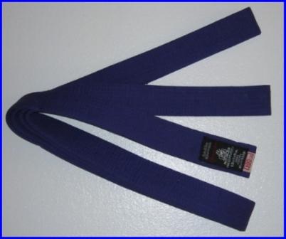 Belt Purple 2.7m x 40mm