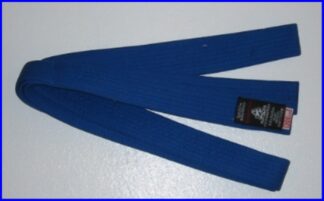 Belt Blue 3.0m x 40mm